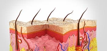 Sleep Consultant Course Unit A